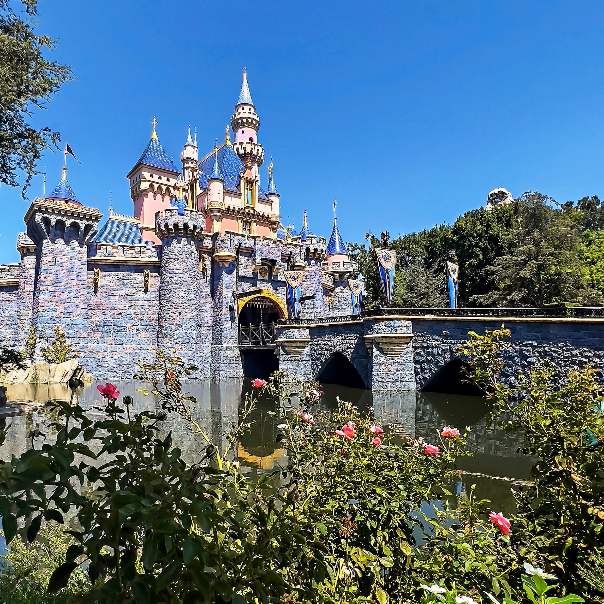 15 Reasons to Visit Disneyland Resort