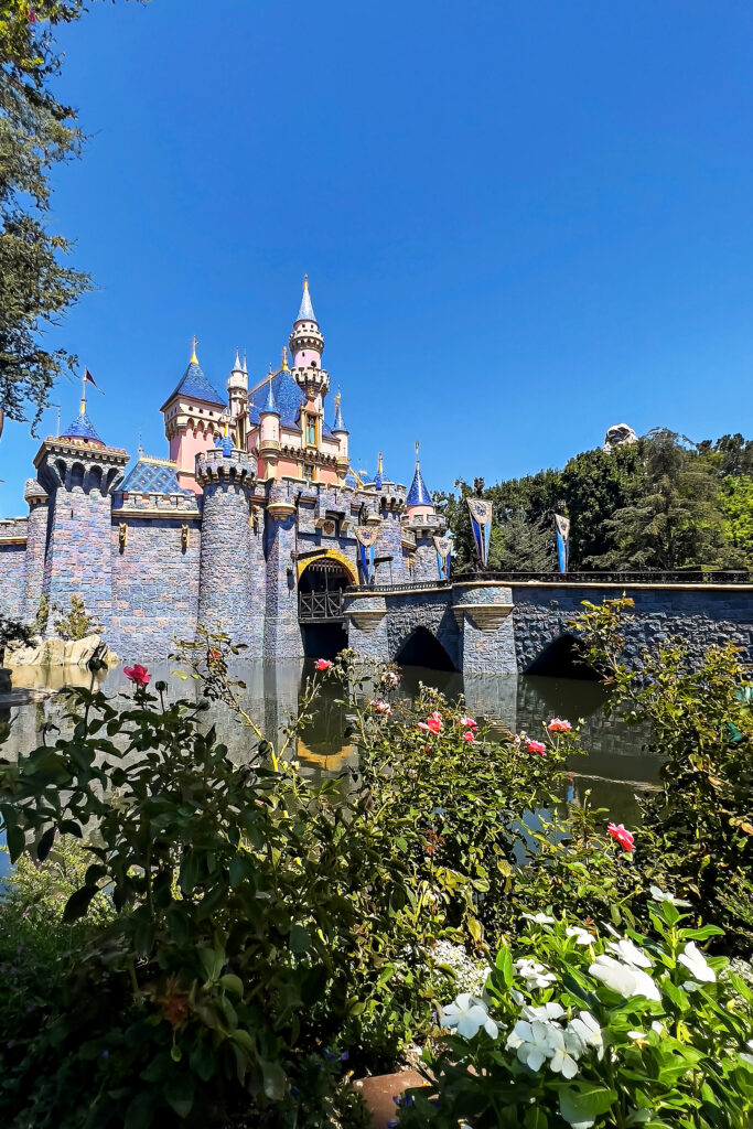 Disneyland Castle