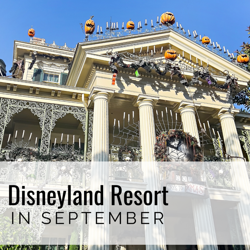 Disneyland in September