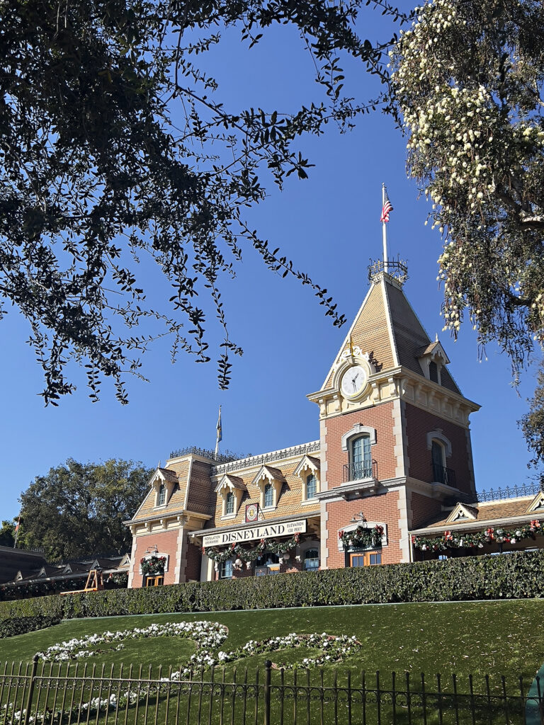 Disneyland at Christmas 