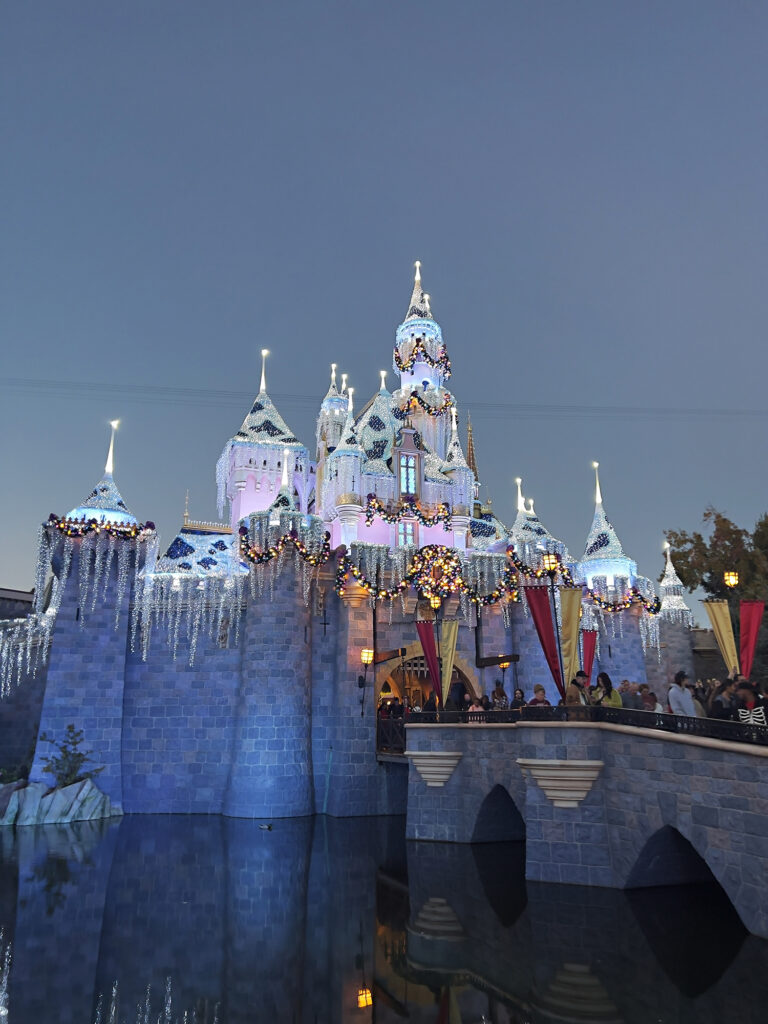 Disneyland Castle at Christmas 