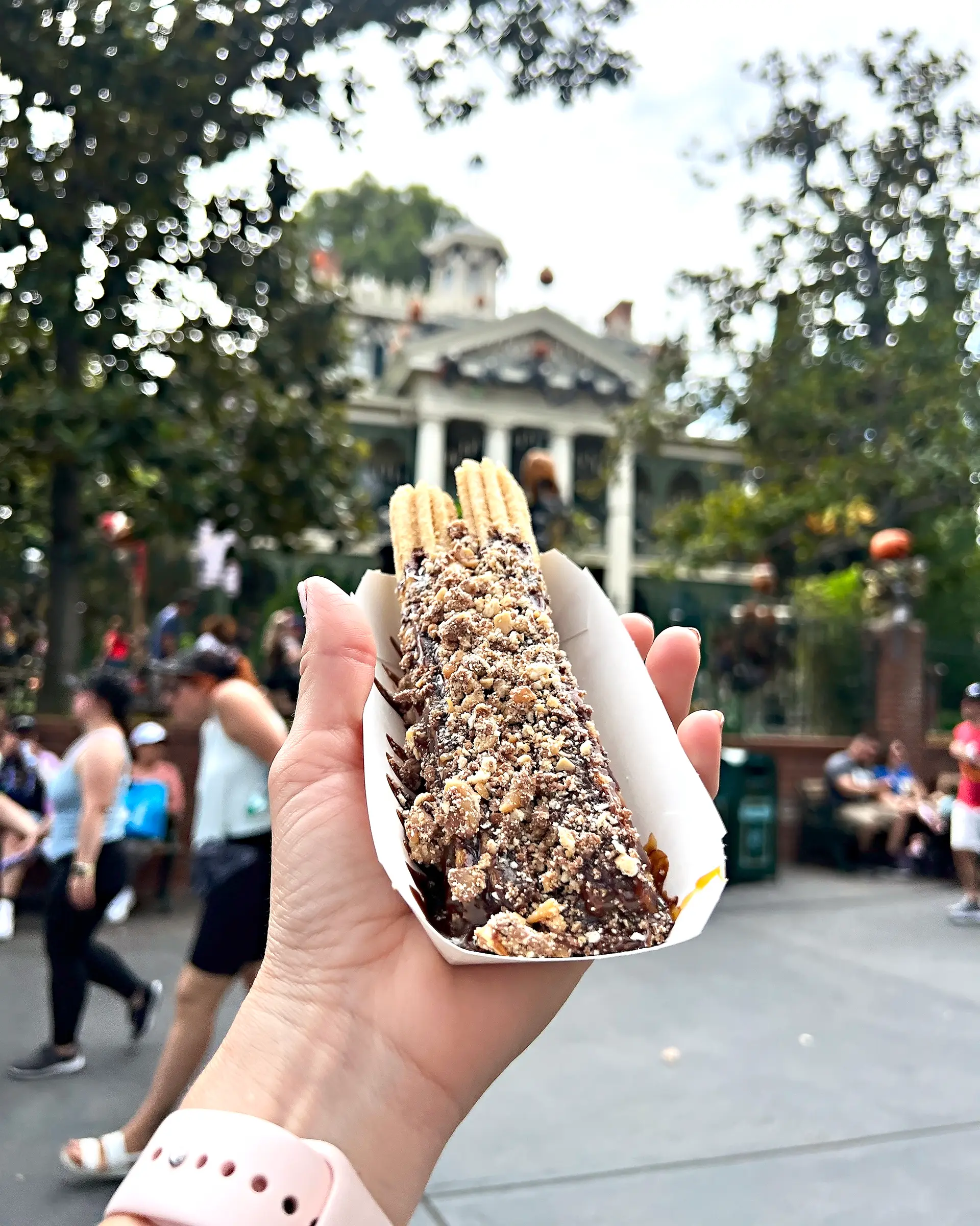 Disneyland Food Budget: How Much you’ll Spend Each Day